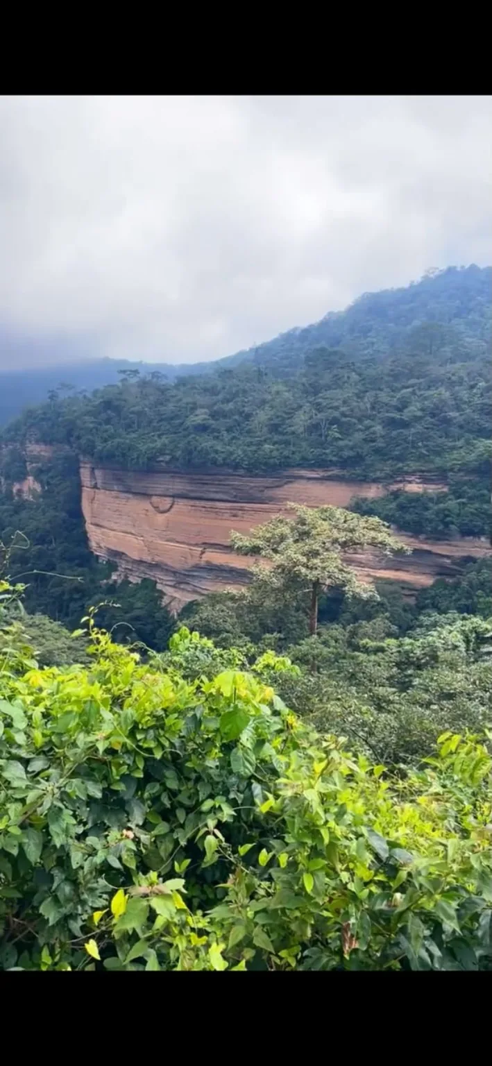 Forest and cliff landscape in Kwahu